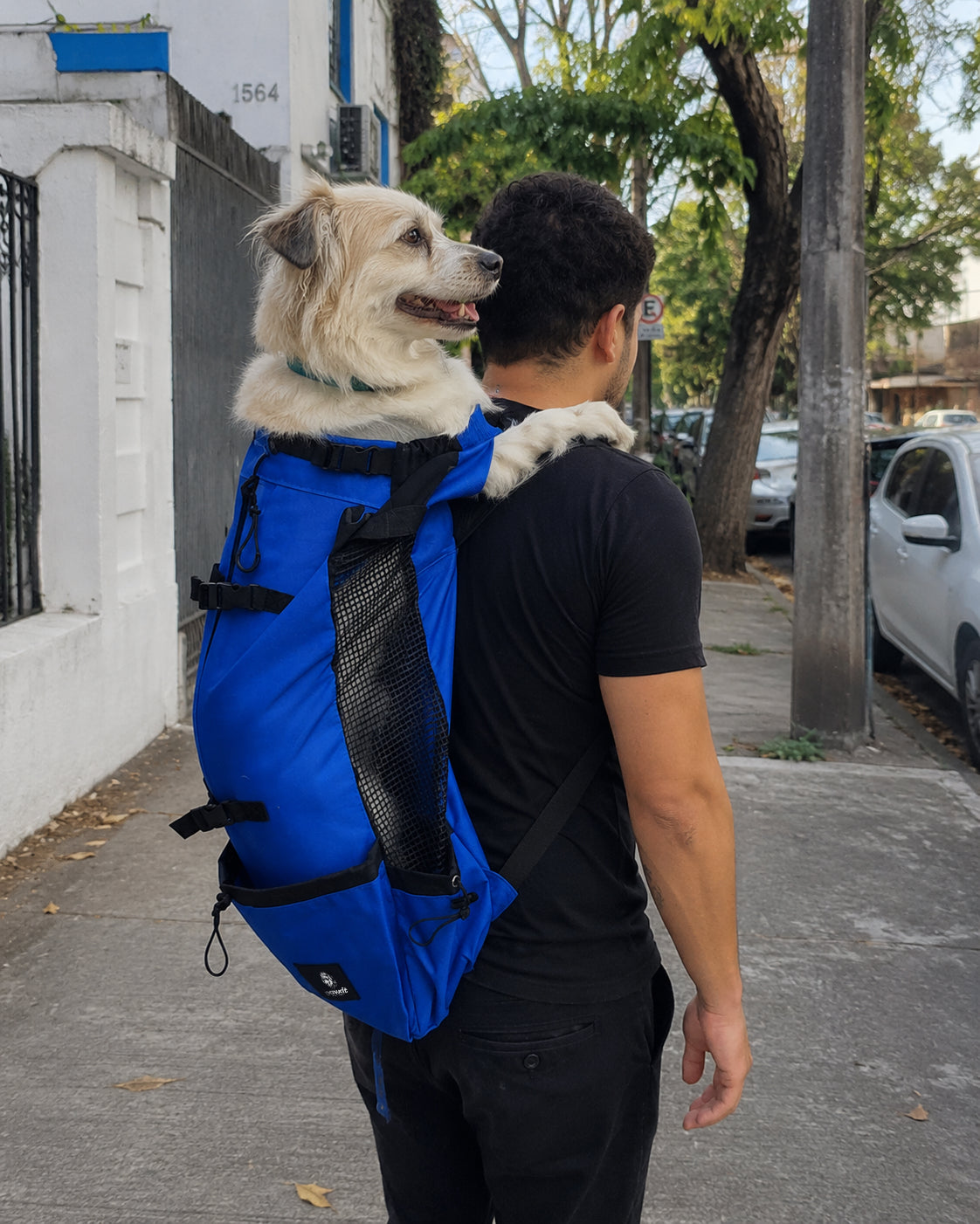 Zaino per il trasporto di cani Blu