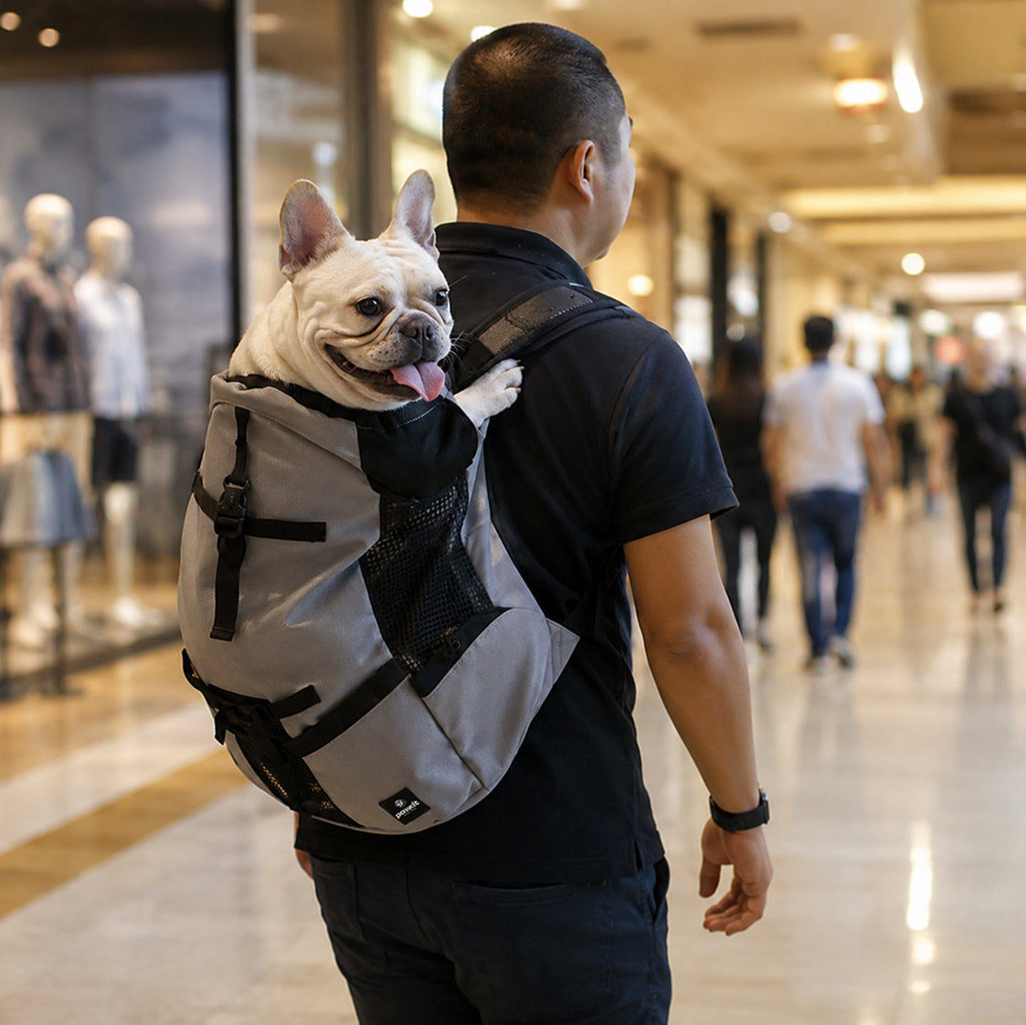 Zaino per il trasporto di cani Grigio